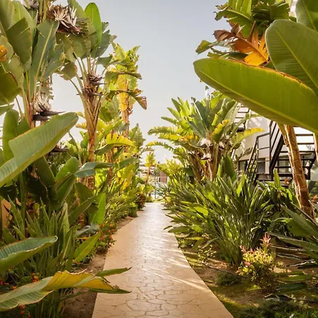 Alegria Palacio - Adults Only 4*